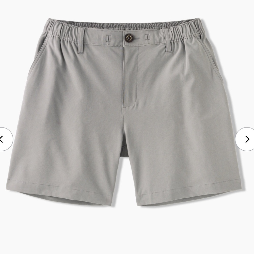 Chubbies Everywhere Performance Gray Shorts No Li… - image 2